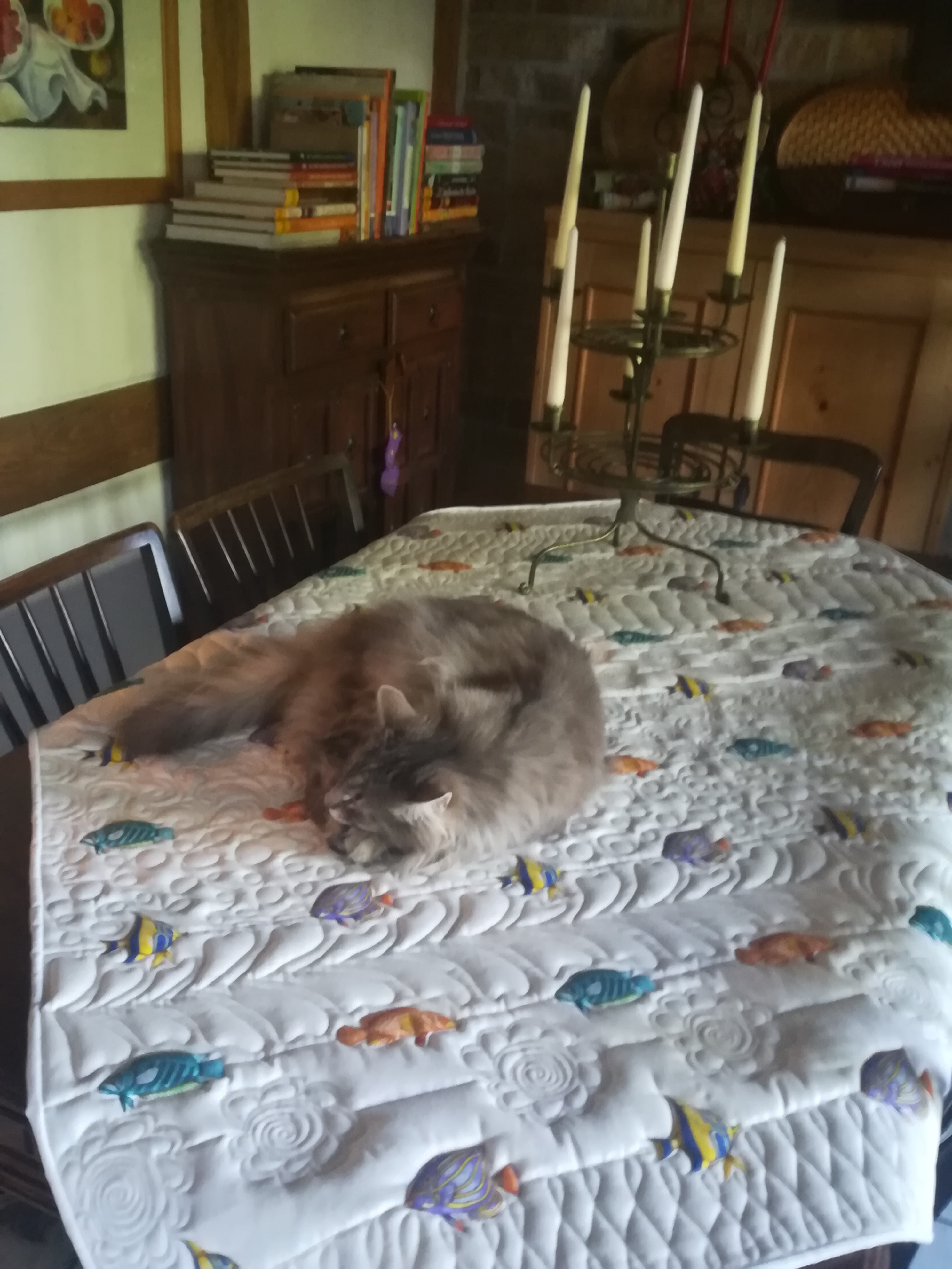 Quilt Fishes
