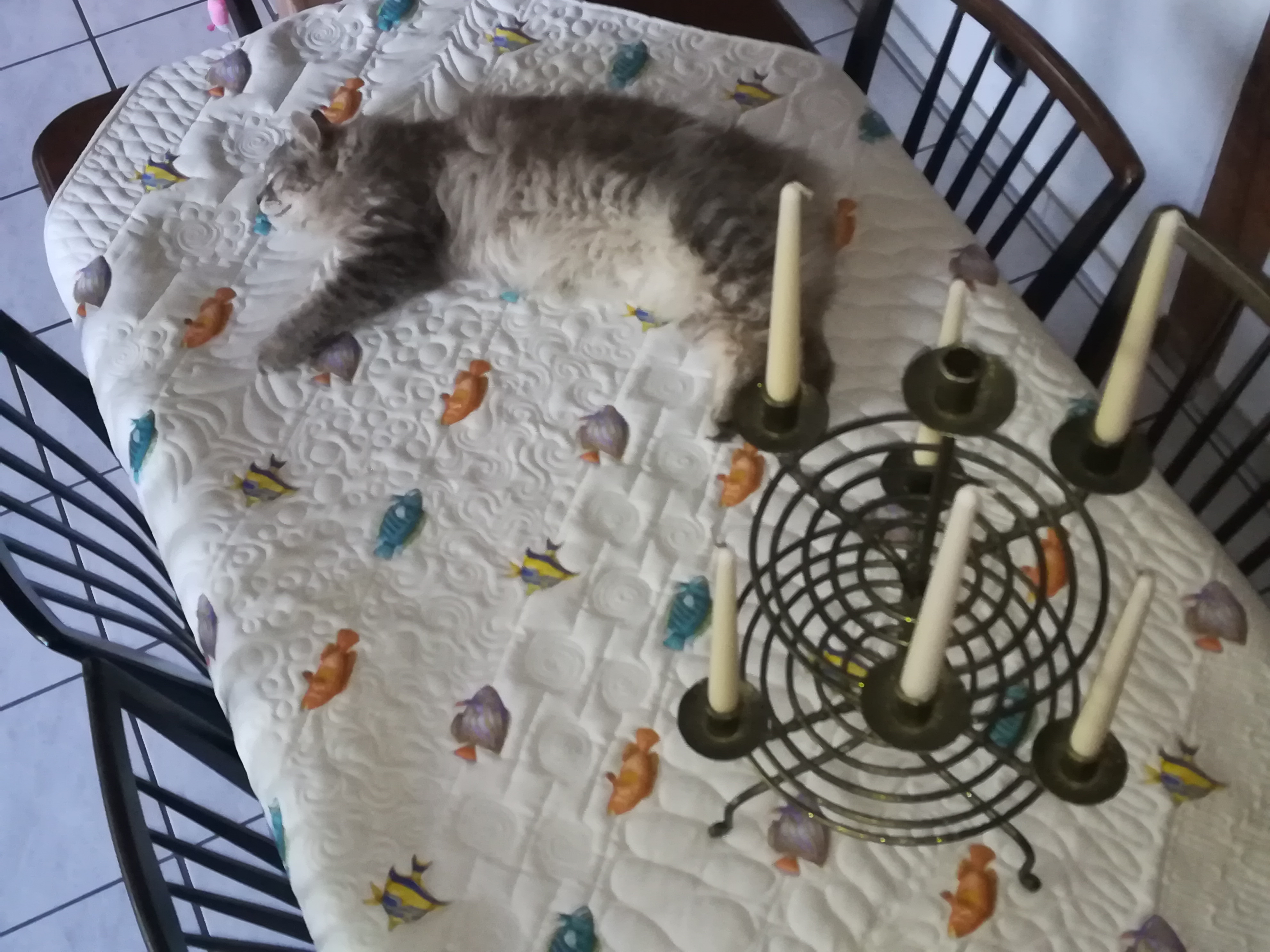 Quilt Fishes